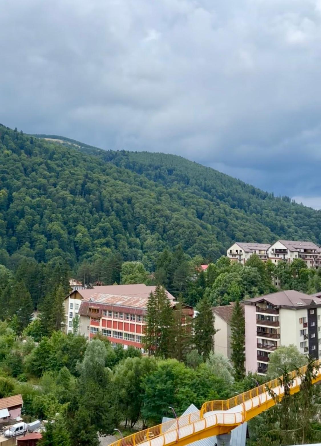 Alpine Line Studio Sinaia Buitenkant foto